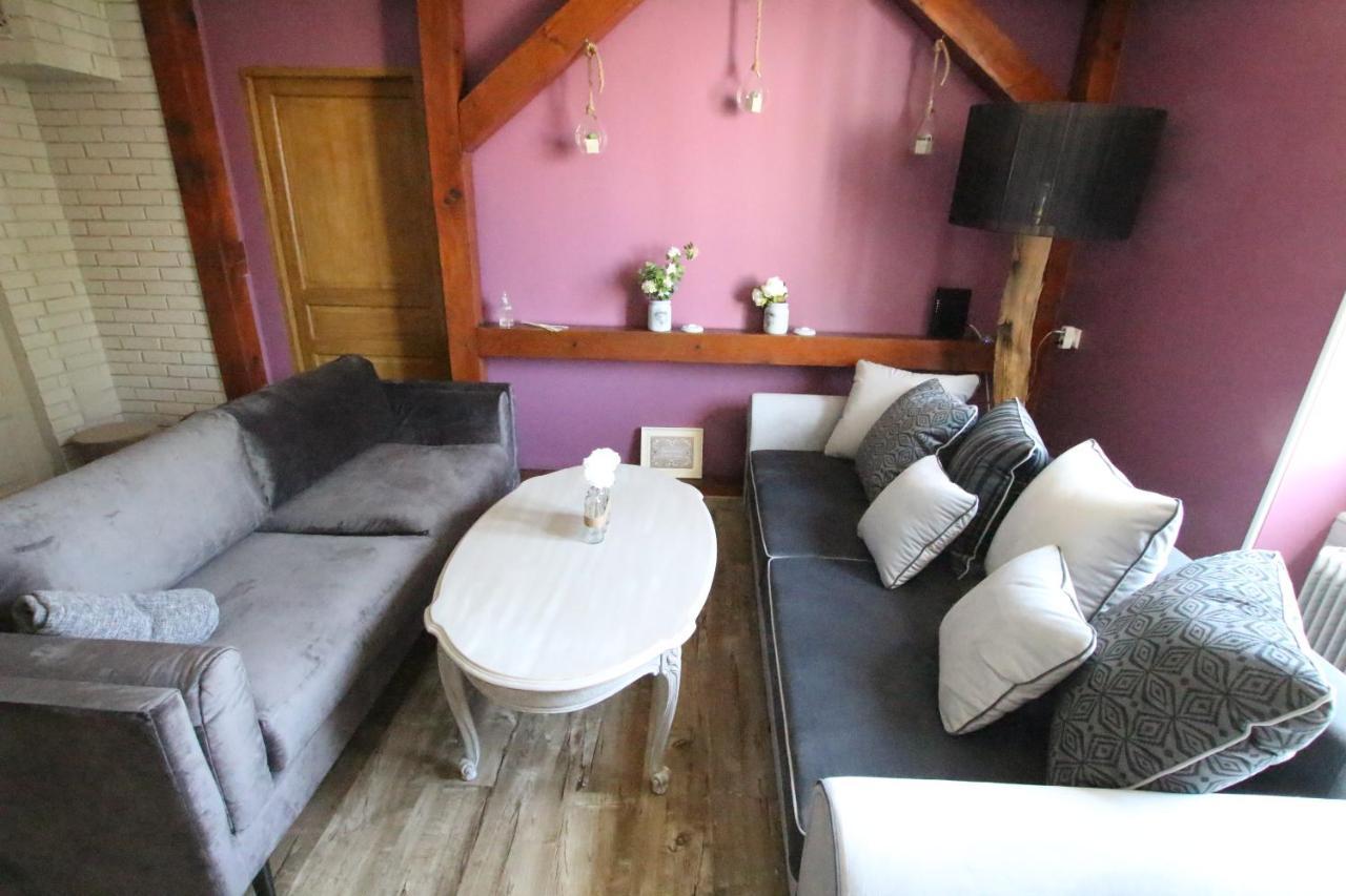 Colmar City Center - Apartment Duplex Marigny - Bookingalsace 外观 照片